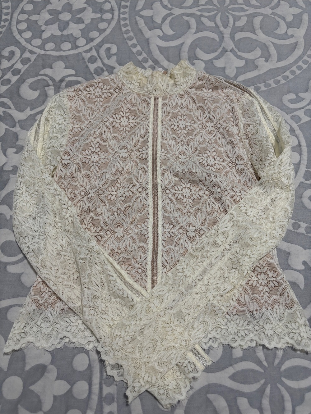 Aritzia High-Neck Long Sleeve Lace Top
